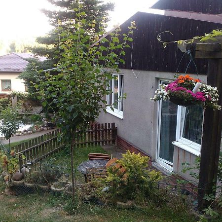 Apartmán Na Polesí Žlutice Exteriér fotografie
